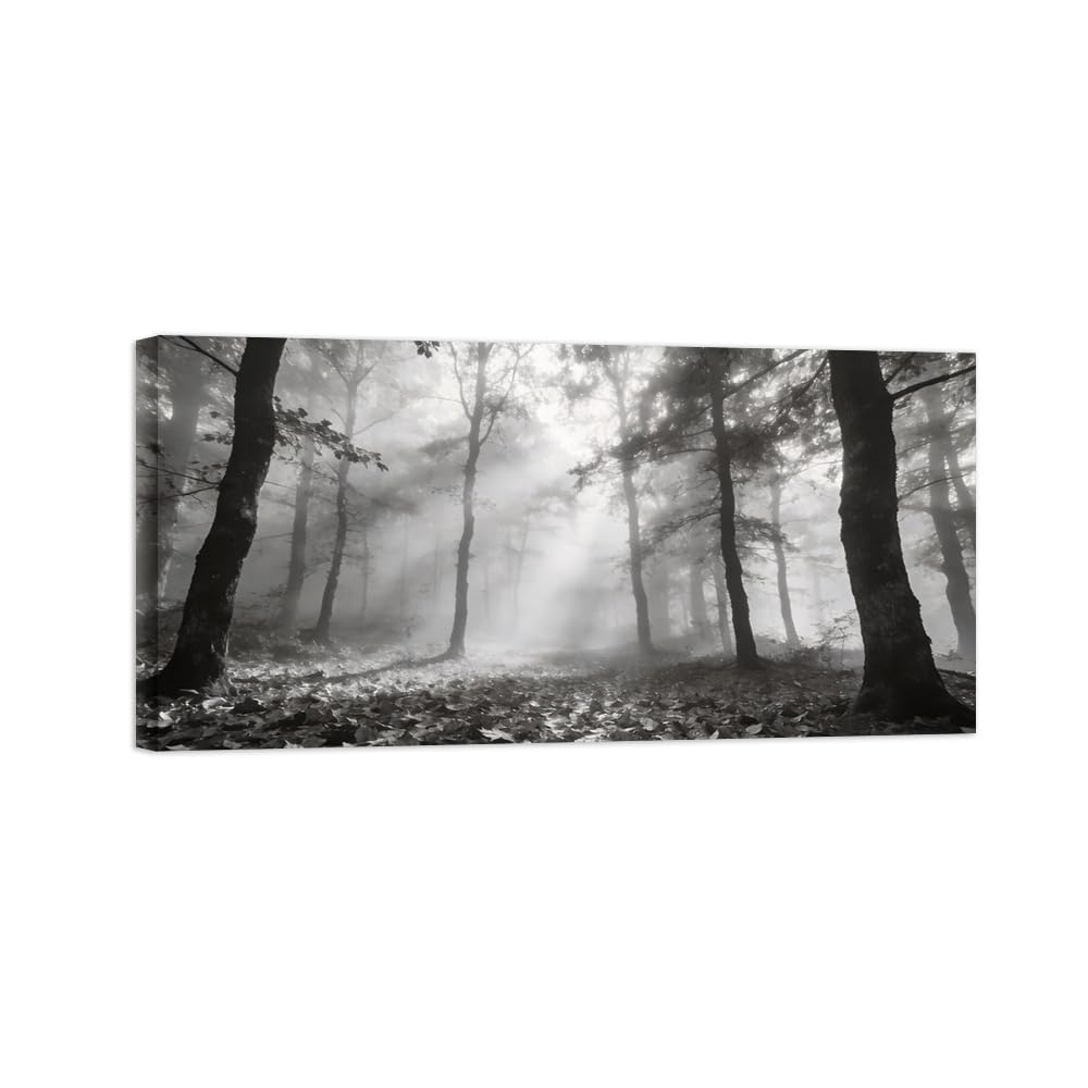 OZPWBVY Black and White Landscape Print Painting-Forest Tree Sunshine-Minimalist Canvas Wall Art Picture for Home Ready to Hang 8x16in 20x40cm Wrapped Canvas