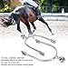 Pssopp Horse Spurs, English Stainless Steel Horse Spurs with Roller Ball Equestrian Gear Accessories for Horse Training Equestrian Competitions Dressage Entertainment