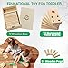 Montessori Peg Board Toys - Toddler Learning Toys - Counting Wooden Toys – Math Manipulatives – Numbers for Todders – Montessori Toys for 3 Year Old & Kindergarten Learning Activities