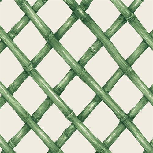 Disposable Dinner Paper Cocktail Napkins - Decorative Beverage Napkins for Parties, Weddings, Graduation - 5 inches by 5 inches Pack of 20 (Lattice Green)