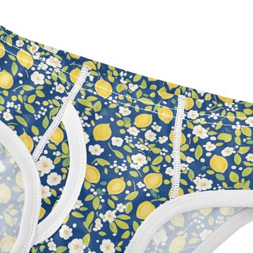 Wusikd Lemon Boys' Underwear Cotton Flowers Boys Briefs Soft Toddler Underwear 2T4