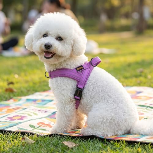 Didog No Pull Dog Harness with Soft Mesh Padded,Reflective & Quick Fit Light Weight Dog Strap Vest Harness,Easy for Walking Training (XS:Chest 15-18", Purple) - Image 3