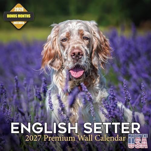 English Setter Calendar 2027 – 16 Month Dog Wall Calendar, Monthl...