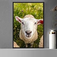 Framed Canvas Wall Art Sheep Animals Expressive Farmhouse/Country Goat Living Room Multicolor Photography - 16x24 inches