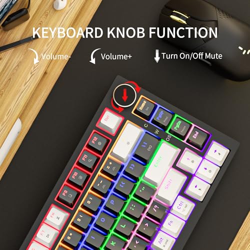 Image of Newmen GM326 Mechanical Keyboard,75% Percent Gaming Keyboard,Wired Keyboard