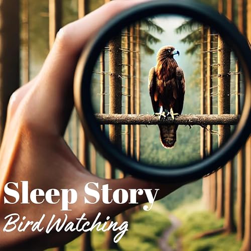 Sleep Story - Birdwatching