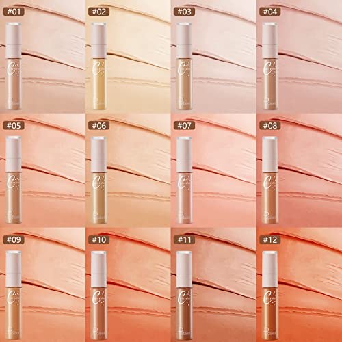 Concealer Stick Makeup, Double Head Conceals, Covers, Hydrates, Highlights, 12 Shades, All-Day Wear, Lightweight, 0.46 Fl Oz (#04) #TOP5