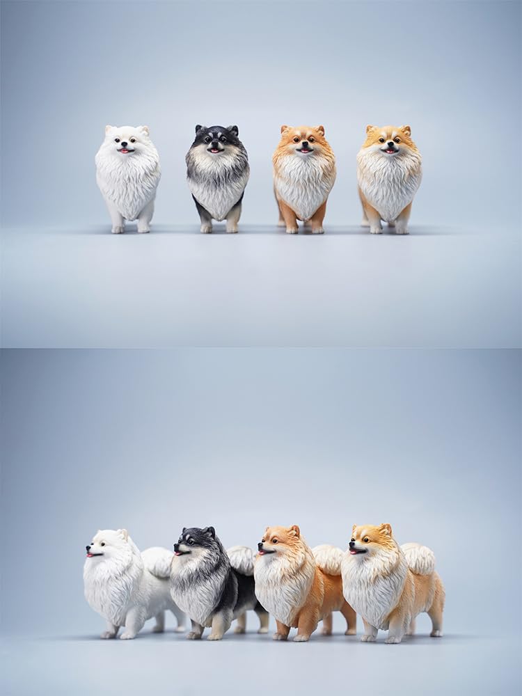 Amazon.com: WLNTDOLA 1:6 Scale Pomeranian Dog Figure Resin Cute