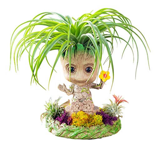 Groot Blumentopf XXL Die 16 besten Produkte im Vergleich