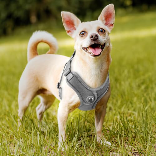 PcEoTllar Hundegeschirr Kleine Hunde und Leine Set, Reflektierend Geschirr Hund mit Weich Gepolstert, Step-in-Einstellbar Brustgeschirr für Kleine Mittelgroße Hunde, Grau-M