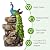 Glitzhome Outdoor Water Fountain,20.5" H Polyresin Outdoor Fountain with Lights, 4-Tierd Peacock W/Stacked Stone Decorative Waterfall Feature Garden Fountain with Pump for Garden, Patio, Porch Decor