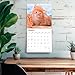 Ginger Cats | 2026 12 x 24 Inch (Hanging) Monthly Square Wall Calendar | Plastic-Free | BrownTrout | Animals Kittens Feline Pets