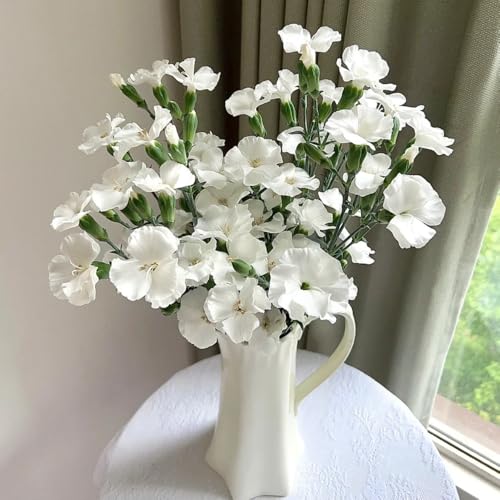 semi di garofano perenne, garofano dolce resistenti all'esterno di garofano decorativi al balcone resistenti di recisi 600pcs