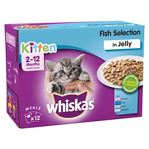 Whiskas Nassfutter Junior Die 15 besten Produkte im Vergleich