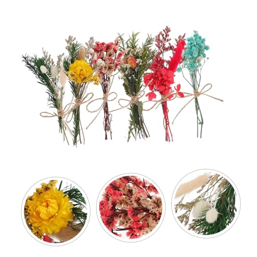 Mini ramo de flores secas natural preservado x6 miniatura 7