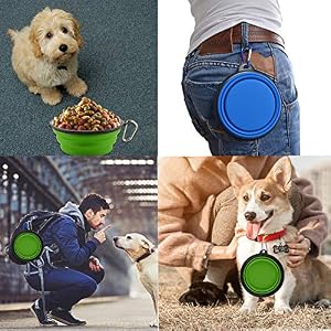 Large Collapsible Dog Bowls, 34oz Portable Foldable Travel Water Bowl Food Dishes with Carabiner Clip for Traveling, Hiking, Walking, 2 Pack (Purple+Green) Large Collapsible Dog Bowls, 34oz Portable Foldable Travel Water Bowl Food Dishes with Carabiner Clip for Traveling, Hiking, Walking, 2 Pack (Purple+Green)