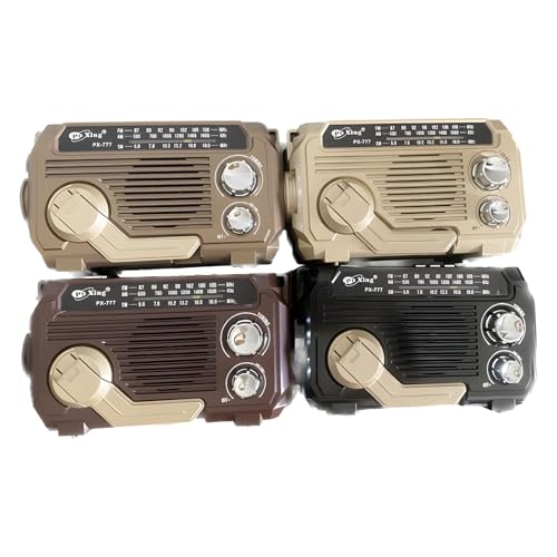 Radio à haut volume et lampe puissante à semi-conducteurs pour une écoute salon parfaite