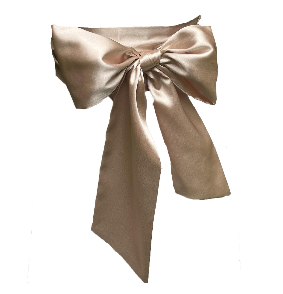 Lordrie Women's Champagne Satin Sash Belts For Bridal Bridesmaid Dresses Girls Waist Belts For Special Occasion, Medium