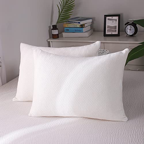 Memory Foam Pillow 2 Pack Standard Size for Neck Pain Cooling Bed Pillows Home & Hotel Collection with Removable Zipper Case