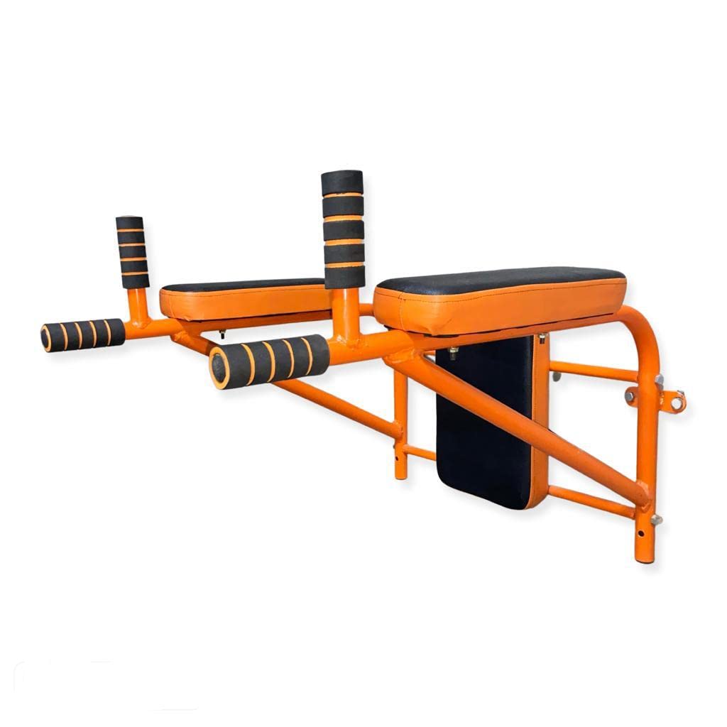 GERMANTECH FITNESS Dips Bar Wall Mounting for Dips & Leg Raises and