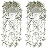 Mkono 2 Packs Fake Hanging Plants in Farmhouse Galvanized Pots Rustic Faux Potted Eucalyptus Greenery Indoor Artificial Plants for Book Shelf Mantel Living Room Bathroom Bedroom Home Office Decor