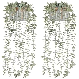 Mkono 2 Packs Fake Hanging Plants in Farmhouse Galvanized Pots Rustic Faux Potted Eucalyptus Greenery Indoor Artificial Plants for Book Shelf Mantel Living Room Bathroom Bedroom Home Office Decor Mkono 2 Packs Fake Hanging Plants in Farmhouse Galvanized Pots Rustic Faux Potted Eucalyptus Greenery Indoor Artificial Plants for Book Shelf Mantel Living Room Bathroom Bedroom Home Office Decor