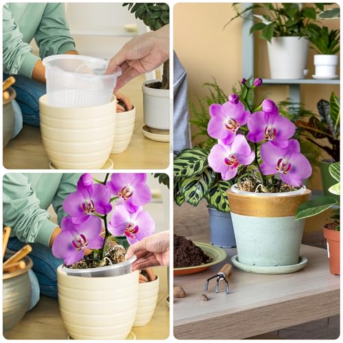 Pots à orchidées transparents pour un drainage parfait et des racines saines
