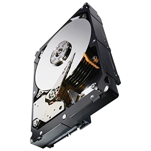 Seagate ST33000650SS Constellation ES.2 Disques Dur 3.5
