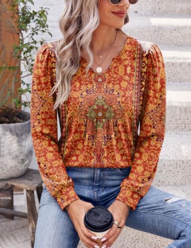 Image of Zeagoo Womens Long Sleeve Tops Fall V Neck Shirt Casual Pleated Tunic Top