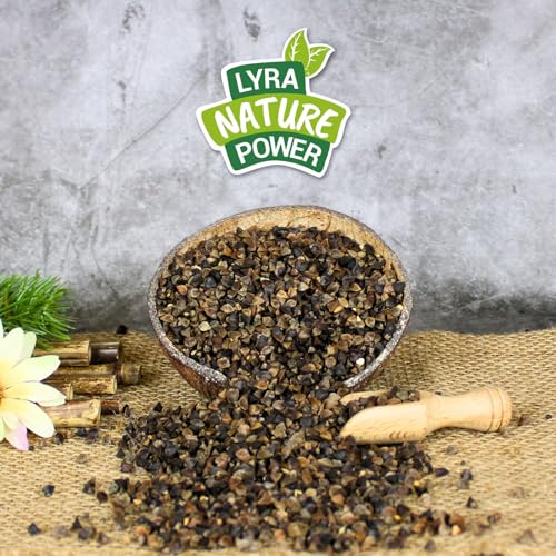 Lyra Pet® 20 kg Buchweizen | Reich an Proteinen, Kohlenhydraten & Ballaststoffen | Ergänzungsfutter für Wildvögel & Kleinnager | Nährstoffreiches, ganzjähriges Vogelfutter | Ideal für Streufutter