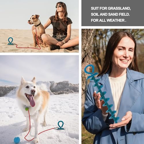 Image of Eurmax USA 2-Pack Heavy Duty Dog Tie Out Stake, No-Tangle In Ground Anchor Runner for Large Dogs up to 210 Lbs - Perfect for Yard, Beach and Camping (Large,Navy Blue)