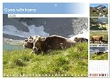 Cows with horns (Monthly Wall Calendar 2026 11.7" x 16.5" (open)), CALVENDO 14 Month Calendar