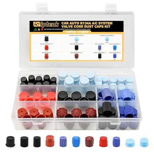 Siptenk 100PCS Car AC Dust Caps R12 R134a High & Low Pressure Port Caps