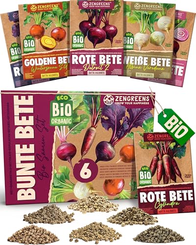ZenGreens® - Bio Bunte Betesamen im 6er Set - 6 Bunte Bete Samen für den einfachen Anbau im Garten, Balkon oder Hochbeet - Pflanzensamen - Saatgut