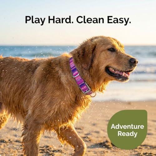 Image of Waterproof Dog Collar - Washable, Stink-Proof & Dirt-Proof - Soft, Odorless, Easy to Clean - Fade-Resistant, Durable for Medium & Large Dogs - Rust-Proof Metal Buckle (Pink-M 1 inch)