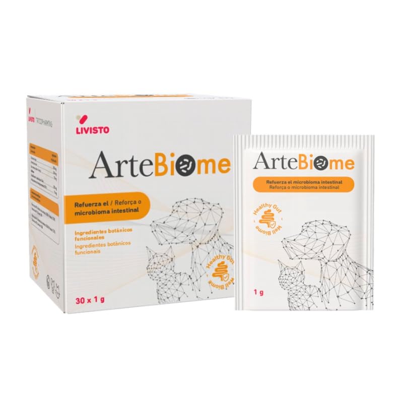 Enveloppes ARTEBIOME lot de 30 grand format de qualité supérieure pour courrier