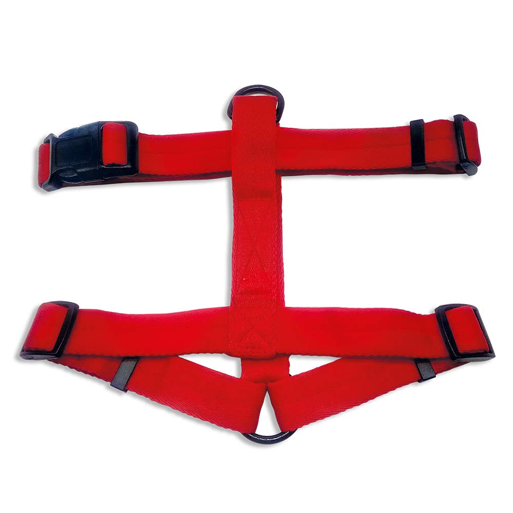 Arquivet 17675 Harness, Red, 1.3 cm Width, 1.3 cm (Pack of 1)