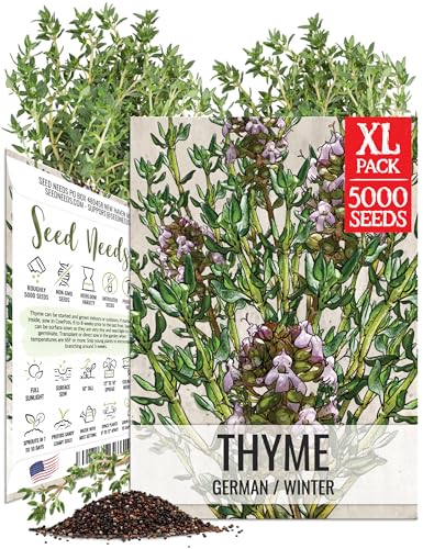 Seed Needs Thyme Seeds to Plant Non-GMO & Heirloom Thymus Herbs XL Pack