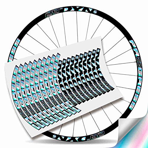Kit Pegatinas Bicicleta Stickers LLANTA Rim Progress DYN 29' MTB BTT B (Holografico)