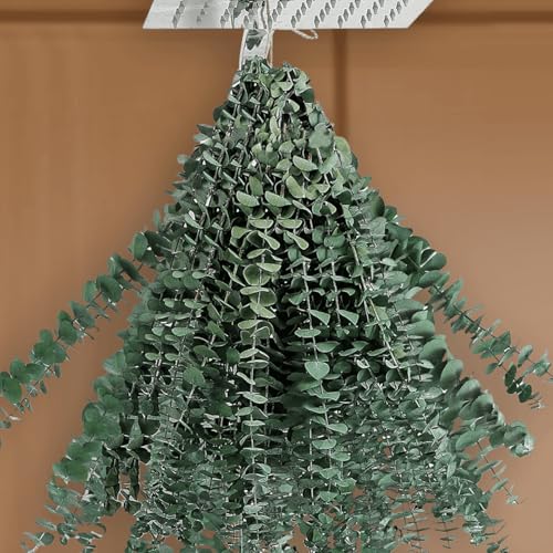 15 Pcs Natural Eucalyptus Bundle, 100% Real, 17' Dried Preserved Stems, Fresh Green Leaves for Vase, DIY Artificial Flowers, Bathroom Decor