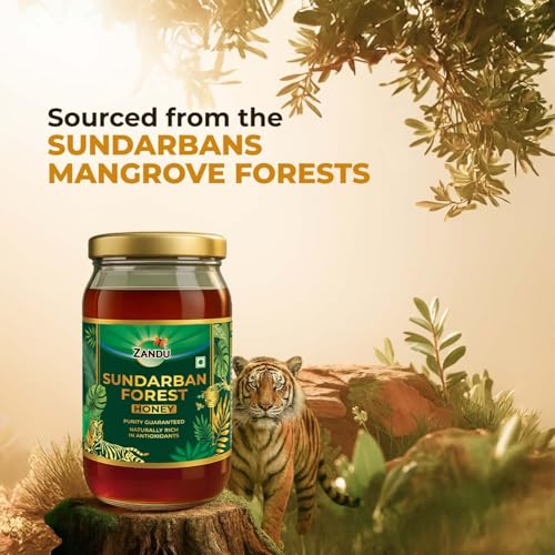 Image of Zandu Sundarban Forest Honey 500g | Pollen Rich Mangrove Honey | Signature Taste | No Sugar Adulteration | Antioxidant-Rich