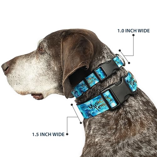 Collier pour chien Crunchyroll Mushoku Tensei accessoire canin réglable - 3