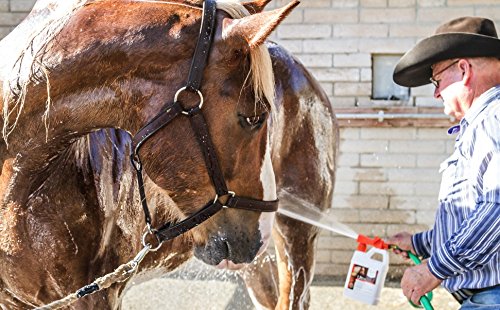 Miniatura 2 de UltraCruz Equine Espuma Caballo Champú, Recarga de 32 oz