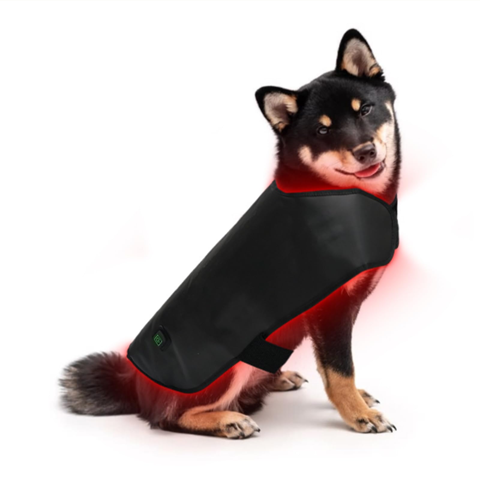 Cinturón Terapia Luz Roja Mascota, Calefacción Infrarroja, Faja Espalda Ajustable 160 LED, Recargable, Temporizador 15 Min, Alivio Dolor Artritis Perros Gatos