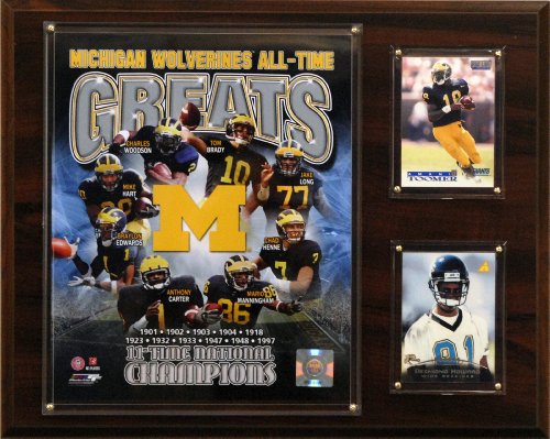 NCAA Football Michigan Wolverines All-Time Greats Photo Plaque