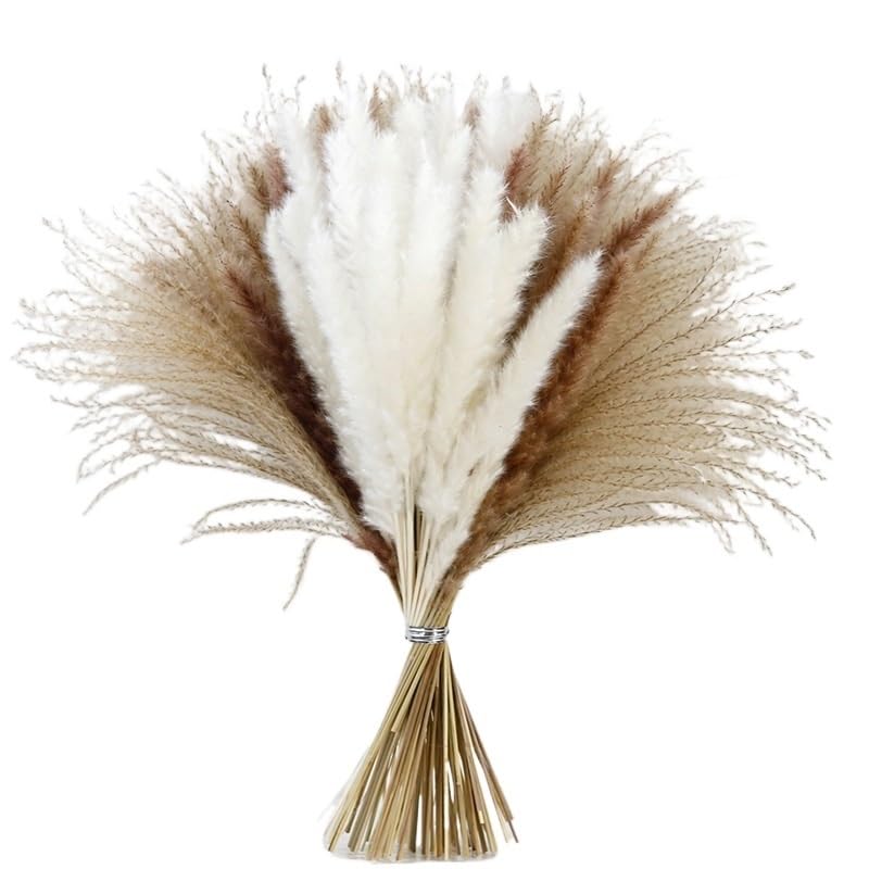 Hierba Pampas Natural Secada Grande Decorativa 70 Unidades miniatura 1