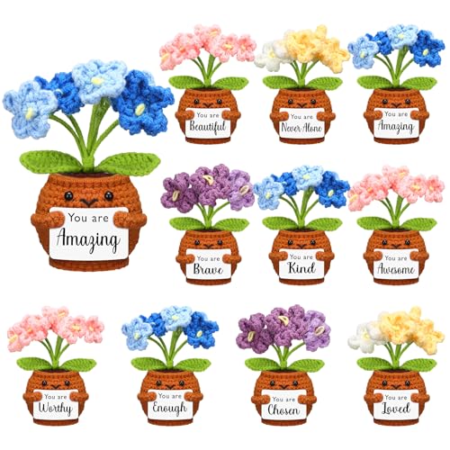 Skylety 10 Pcs Mini Handmade Crochet Flowers with Positive Affirmation Cards Inspirational Appreciation Gifts Bulk for Women Coworker Teacher Nurse Employee Mother's Day Desk Decor(Flower,Colourful)