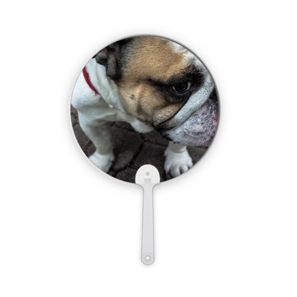 Éventail plastique bouledogue contre la chaleur accessoire rond