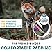 Embark Adventure Small Dog Harness – No-Pull, Reflective Trim, Military-Grade Nylon, Front Clip with Gel-Lined Handle, Soft & Padded