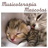  Medicamentos de Ansiedad